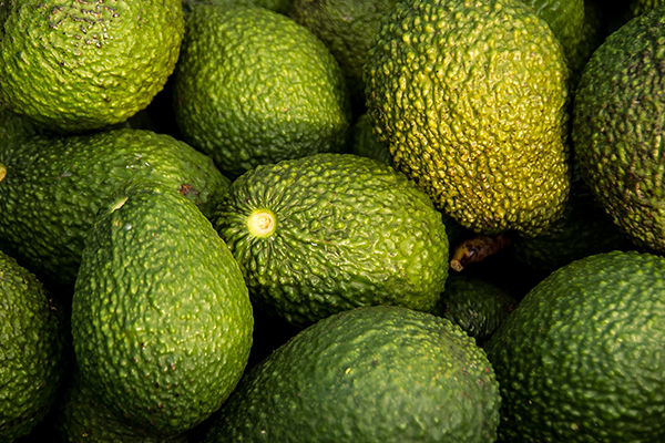 Avocado Vinaigrette