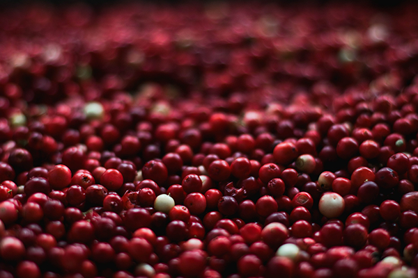 Brandied Cranberries