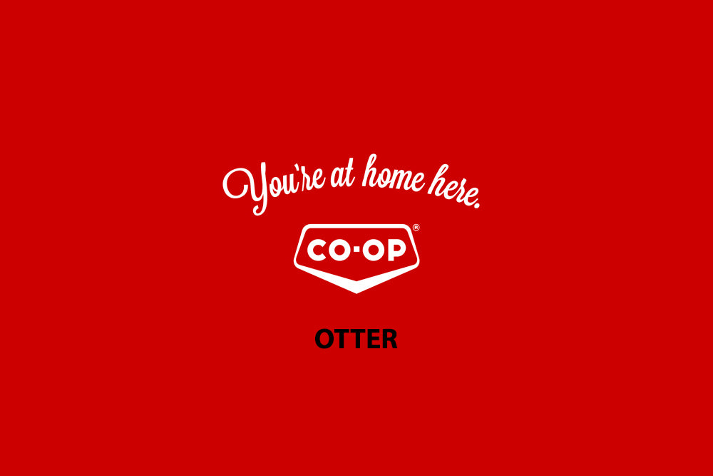 Cook Along with Chef Deniz: Thanksgiving Sides - Roasted Wild Fall Mushrooms