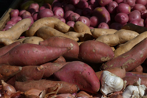 Simple Roasted Roots