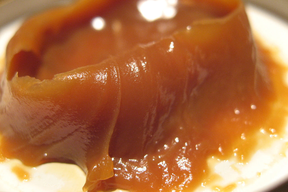 Coconut Dulce de Leche Well Seasoned