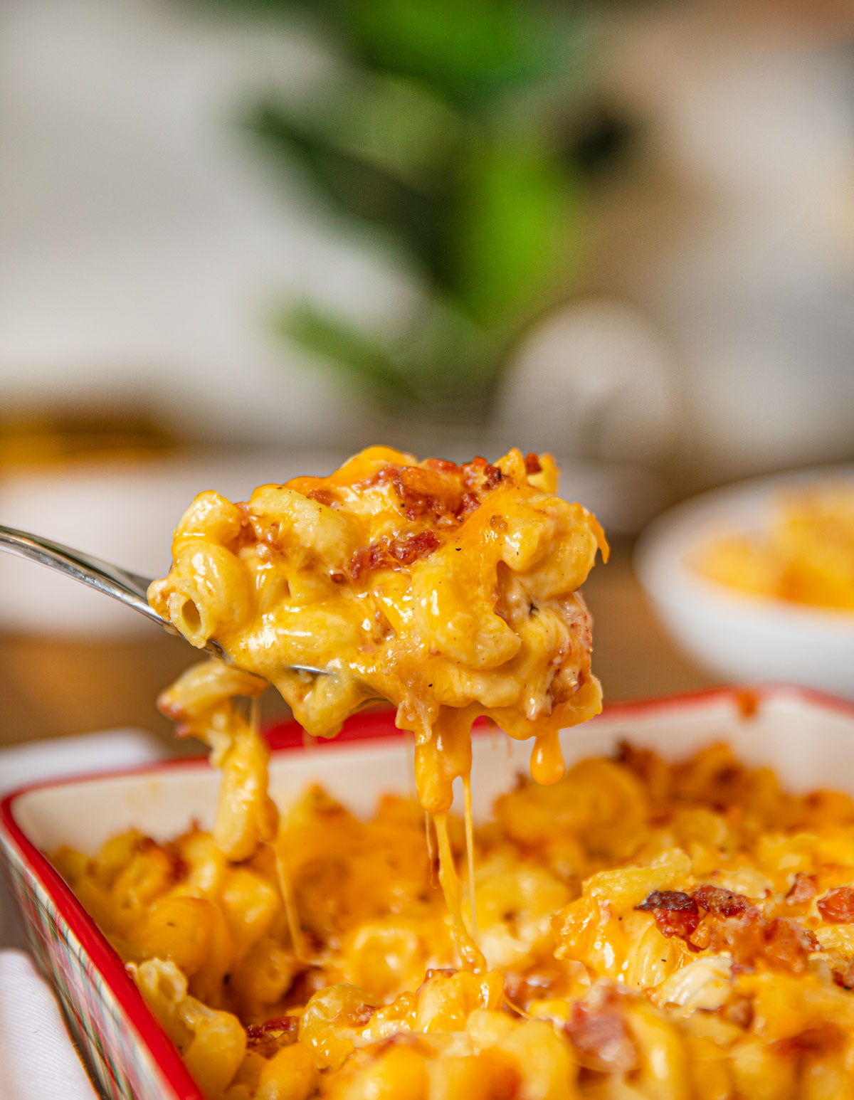 Gourmet to Go Entrée: Bacon Mac & Cheese