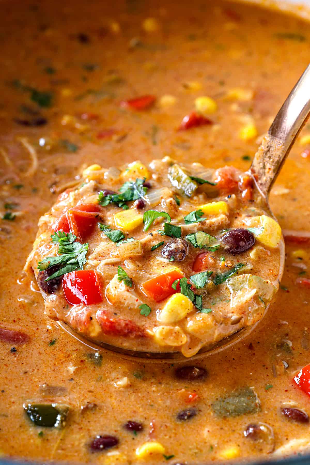 Gourmet to Go Entree - Creamy Aztec Soup