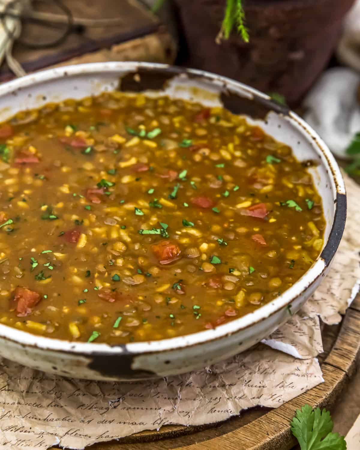 Gourmet to Go Homemade Soups: Persian Lentil Soup  (G/F. D/F)