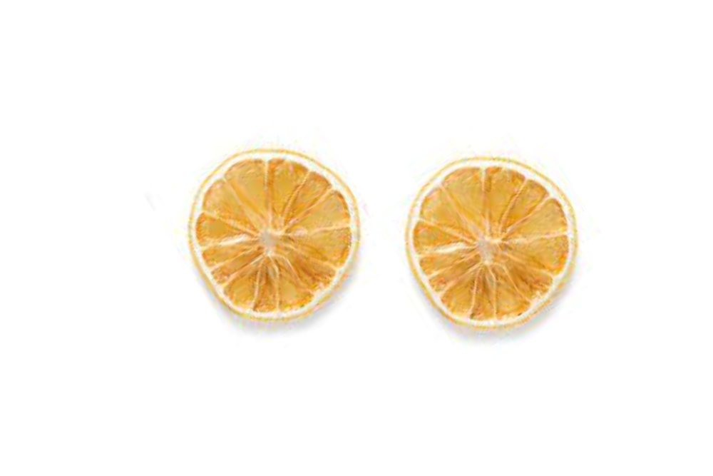 Dried Citrus Slices