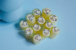 Candylabs Inc. | Handcrafted Candies