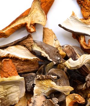 Well Seasoned Bulk Dried Mushrooms