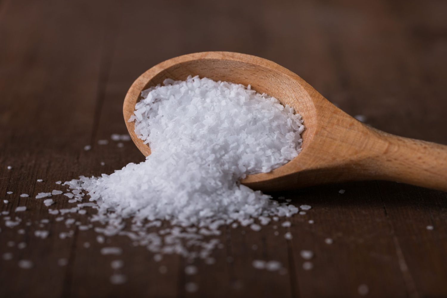 Well Seasoned Bulk Salt