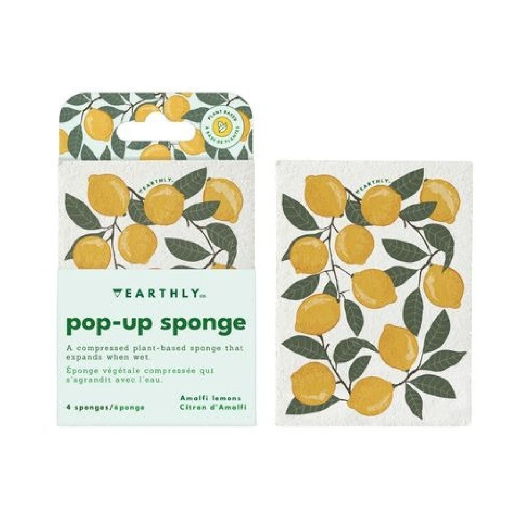 Earthly | Pop Up Sponge