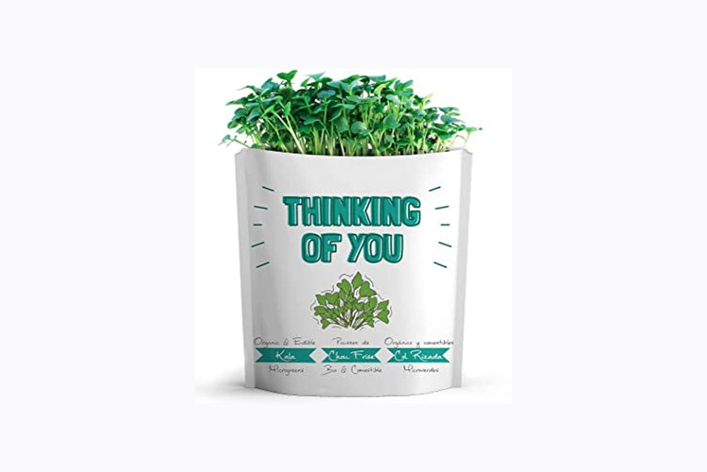 Gift-A-Green Interactive Greeting Cards